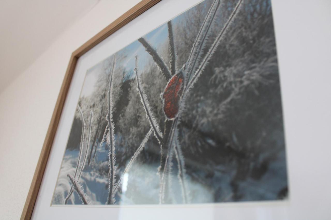 Apartment Zirmweber-Haus Sankt Johann im Pongau Bagian luar foto